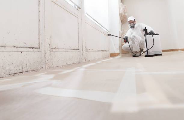 24/7 Emergency Bathroom Mold Removal experts in Lakeland, GA