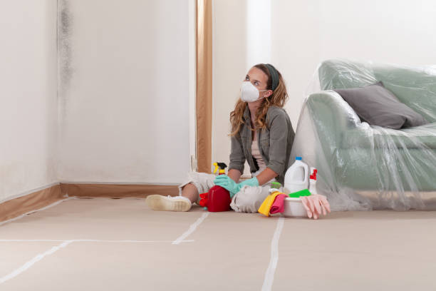 Reliable Bathroom Mold Removal contractor in Lakeland, GA by WQB Mold Removal