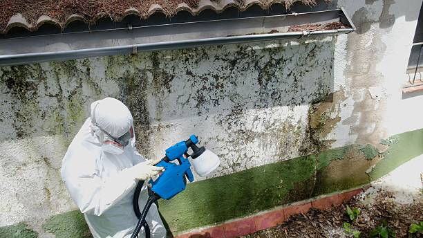 Top rated local Bathroom Mold Removal specialists in Lakeland, GA